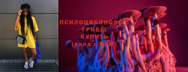 МДМА Богданович