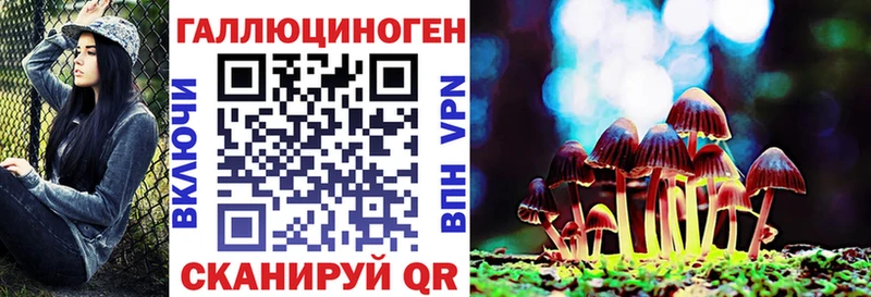 Купить закладки  Баксан  Псилоцибиновые грибы Cubensis 